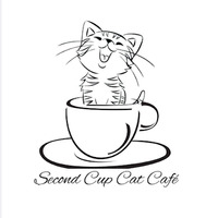 Second Cup Cat Cafe