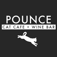 Local Business Pounce Cat Cafe in Savannah GA