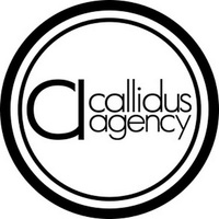 Local Business Callidus Agency in Richardson TX