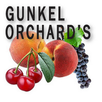 Gunkel Orchards Fruit Stand