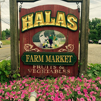 Halas Farm Market