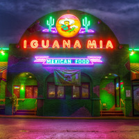 Local Business Iguana Mia of Fort Myers in Fort Myers FL