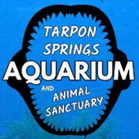 Tarpon Springs Aquarium and Animal Sanctuary