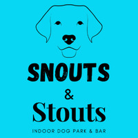 Snouts & Stouts - Indoor Dog Park & Bar