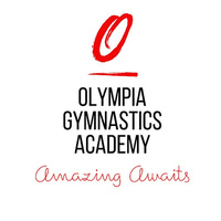 Local Business Olympia Gymnastics Academy in Shelby Township MI