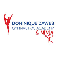 Local Business Dominique Dawes Gymnastics & Ninja Academy in Columbia MD