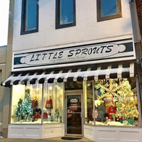 Little Sprouts Children's Boutique