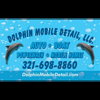 Dolphin Mobile Detail