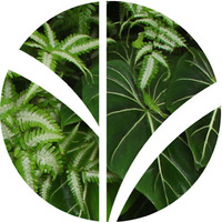 VERDE VERTICAL INC - Vertical Garden Miami