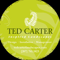 Ted Carter Inspired Landscapes