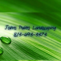 Johns Palms Landscaping