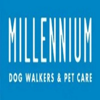 Millennium Dog Walkers & Pet Care in Chicago!