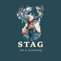 Strategic Tax and Accounting Group