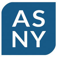 Accounting Solutions of New York, Inc.