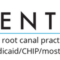 Root Canal Dentists