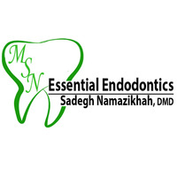 Essential Endodontics, Sadegh Namazikhah, DMD, DDS