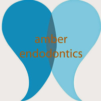 Local Business Amber Endodontics in Houston TX