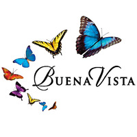 Buena Vista Hospice & Home Health