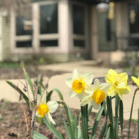 Stoneleigh Residence & Hospice of Lansing