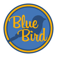 Bluebird Pediatric Therapy Services, Inc.