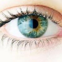 Local Business Family Eyecare & Contact Lens Center in Cromwell CT