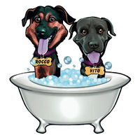 Local Business Self Serve Pet Wash in Rochester NY