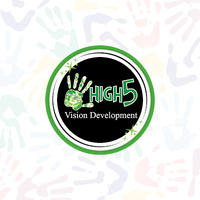 Local Business High5 Vision Development in New Braunfels Texas