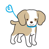 Canine Connections Dog Walking LLC