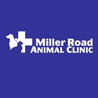 Local Business Miller Road Animal Clinic in Miami FL