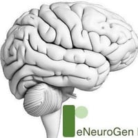 Reneurogen Llc