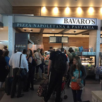 Local Business Bavaro's Pizza Napoletana & Pastaria in Tampa FL