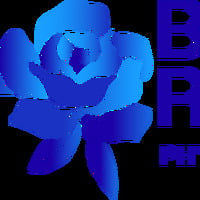 Blue Rose Physical Therapy