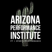 Local Business Arizona Performance Institute- Physical Therapy and Sports Performance (AZPI) in Mesa AZ