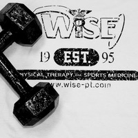 Wise Physical Therapy & Sports Medicine