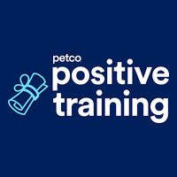 Local Business Petco Dog Training in Port Orange FL