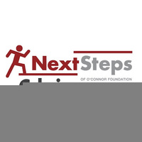 Local Business Next Steps Chicago in Willow Springs IL