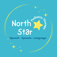 Local Business North Star Pediatric Speech Therapy in Houston TX