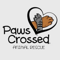 Local Business Paws Crossed Animal Rescue in Elmsford NY