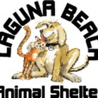 Laguna Beach Animal Shelter