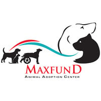 Local Business MaxFund Animal Adoption Center in Denver CO