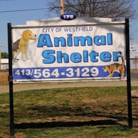 Westfield Regional Animal Shelter