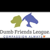 Local Business Dumb Friends League - Leslie A. Malone Center in Denver CO