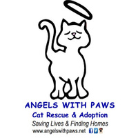 Angels With Paws