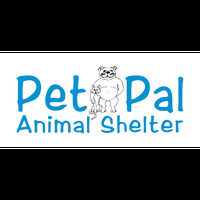 Local Business Pet Pal Animal Shelter in St. Petersburg FL