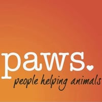 PAWS Companion Animal Shelter (Progressive Animal Welfare Society)