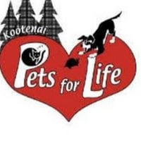 Local Business Kootenai Pets For Life in Libby MT