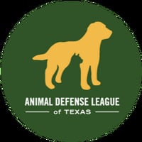 Local Business Animal Defense League of Texas Paul Jolly Center for Pet Adoptions in San Antonio TX