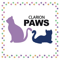 Clarion PAWS