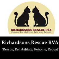 Local Business Richardsons Rescue in Mechanicsville VA