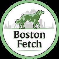 Local Business Boston Fetch in Boston MA